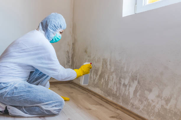 Hvac And Air Duct Mold Remediation inspection of HVAC system in Newtown