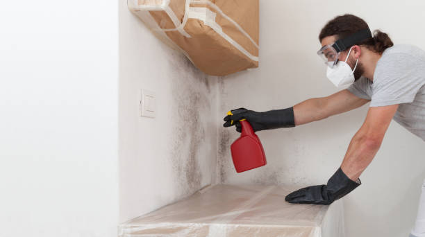 Attic Mold Remediation treatment on roof deck in Newtown